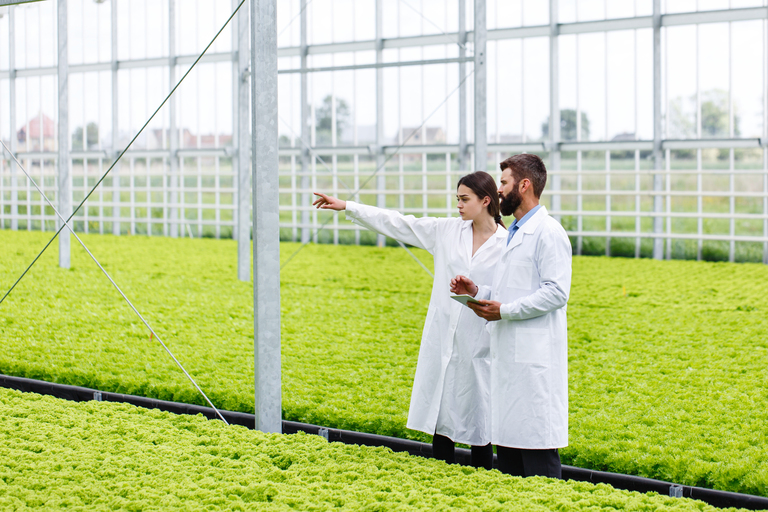 Greenhouse Engineering Services in Detroit, Michigan